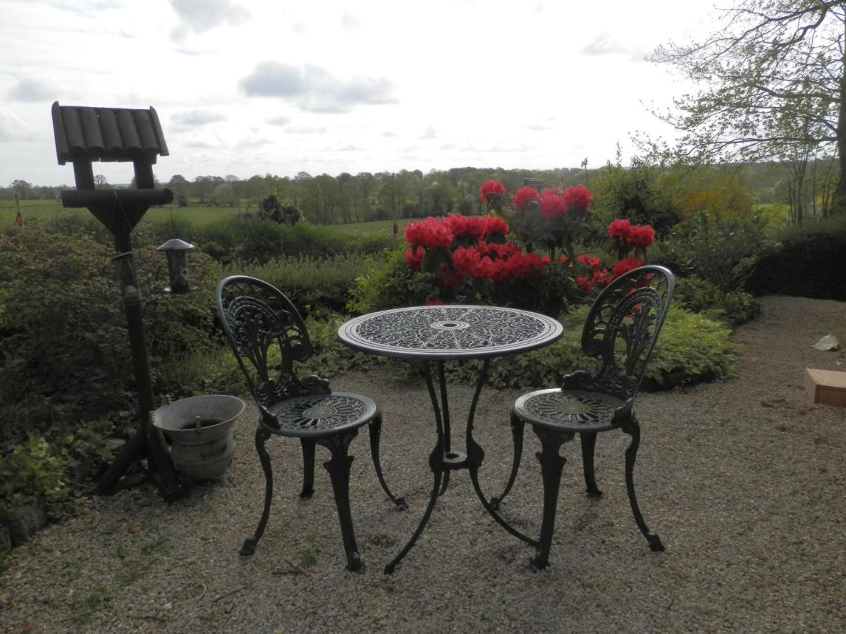 La Petite Cretouffiere - Naturiste Accommodation - Adult Only Colombiers-du-Plessis Екстериор снимка